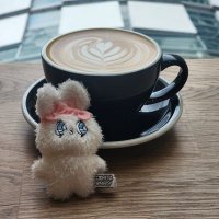 うぉぬよん🌳共同購入🌳交換アカウント (@wonwoo_kyodo) 's Twitter Profile