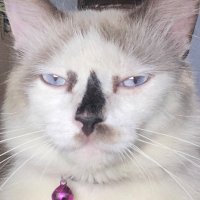 bailey (@nrshdn_) 's Twitter Profile