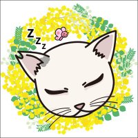 たにゃ (@kabukinoraneko) 's Twitter Profile Photo たにゃ (@kabukinoraneko) 's Twitter Profile Photo