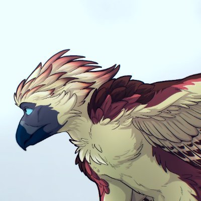 Shiroさんのプロフィール画像