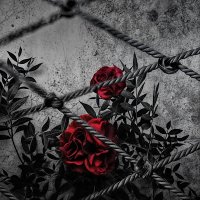 Feroz Mahmud (@ferojmahmud57) 's Twitter Profile