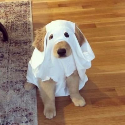 ps_parkk's profile picture. 