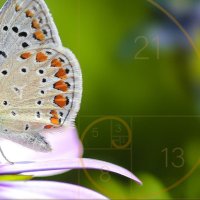 إيمان موسى الحجي | Eman M. Alhajji (@emanmalhajji) 's Twitter Profile Photo