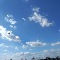 ピンクのカーネーション (@quozwfoftl46761) 's Twitter Profile Photo