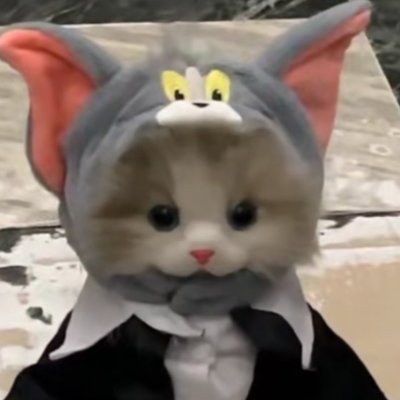 Meomecc's profile picture. Ai, meme,web3