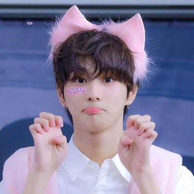 ✧ bns account. for enhypen, nct, and exo
masterlist; website
