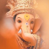 dharmendra nayak (@dharmendra73870) 's Twitter Profile