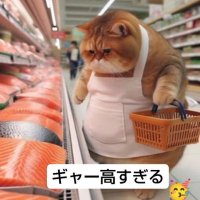 菅原さとみ 🐾 (@jyuansatom57773) 's Twitter Profile Photo 菅原さとみ 🐾 (@jyuansatom57773) 's Twitter Profile Photo
