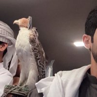 العامري🇵🇸🇴🇲 (@q_5za) 's Twitter Profile