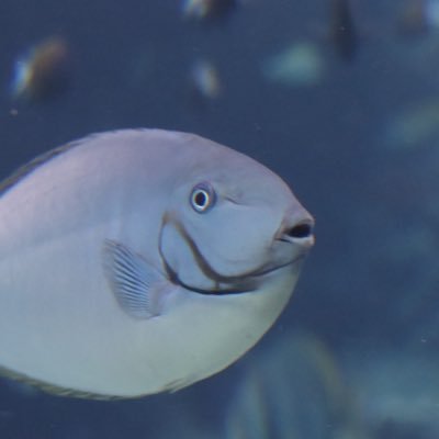 (株)ナンバーナイン サービスグロースチーム所属。電子書籍配信のお手伝いをさせていただいてます。漫画は描くのも読むのも大好き。 電子書籍化・配信についてお気軽にお問い合わせください!電子書籍配信サービスのご登録はコチラ→ 【https://t.co/HUexWrDFuO】