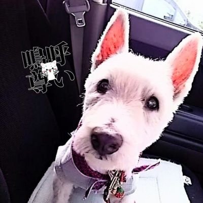 陰キャなヲタ🐍 🐶が好き 🍑ビギ17年目🍓 Snow Manに沼ぎみ😇 ガチャも沼🤣 🍺🍸🍹🍷と🥯🥞🍮🍡🍫は命の源✨ マンガも毎日📖 2023年運命の出逢い🩷 日々の感謝🙂↕️ 詳しくは固定読んで🙋