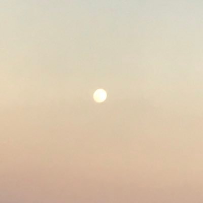 あろえ。さんのプロフィール画像