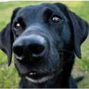 Karen ꧁IP꧂ - @ellerkamp12000 - Twitter