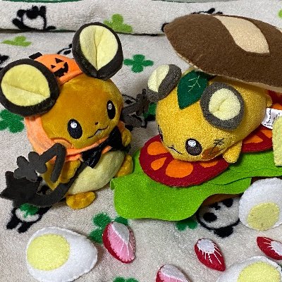 食パン🍞🥖さんのプロフィール画像
