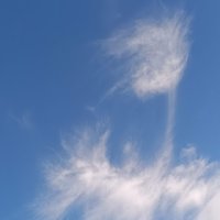 ヒデヤヒデヤ (@nc0nfoka9w19643) Twitter profile photo