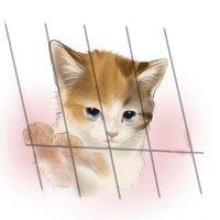 「猫好き」 (@godbiesscat) 's Twitter Profile Photo 「猫好き」 (@godbiesscat) 's Twitter Profile Photo