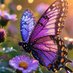 🦋🦋THALITA🦋🦋 (@1234gadismanis) Twitter profile photo 🦋🦋THALITA🦋🦋 (@1234gadismanis) Twitter profile photo