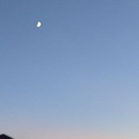 丸井 (@maru_i__inu) 's Twitter Profile Photo 丸井 (@maru_i__inu) 's Twitter Profile Photo