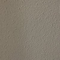 Steven P (@stevenp61329466) 's Twitter Profile