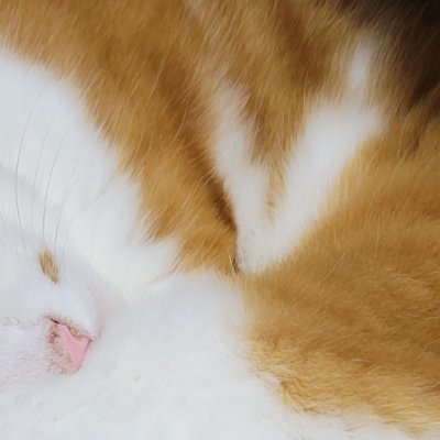 骨さんのプロフィール画像