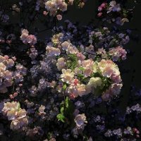 sora (@hhh__1823) Twitter profile photo