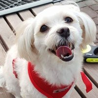 🇯🇵🇱🇷🇰🇷코코♡🇰🇷🇱🇷🇯🇵 (@moa4703) 's Twitter Profile Photo 🇯🇵🇱🇷🇰🇷코코♡🇰🇷🇱🇷🇯🇵 (@moa4703) 's Twitter Profile Photo