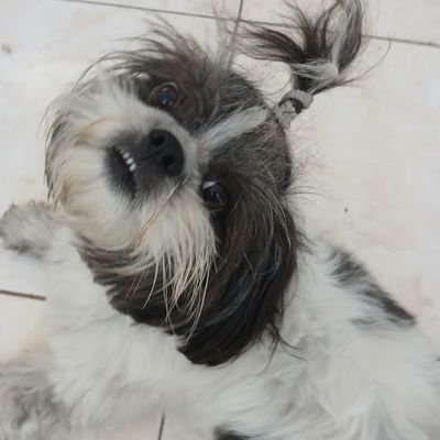 pin_karla's profile picture. viva e deixe viver, dá o justo para assim receber...