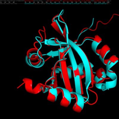 Molecular Microbiology Profile