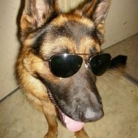 maverick (@cruisewolp) 's Twitter Profile