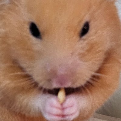 みりおたそ🪦さんのプロフィール画像