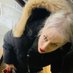Alexandra (AK) Benedict (@ak_benedict) Twitter profile photo Alexandra (AK) Benedict (@ak_benedict) Twitter profile photo