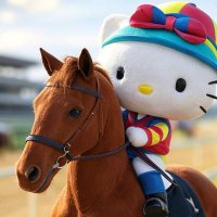 さっち🏇✨✨✨ (@kba85870914) 's Twitter Profile