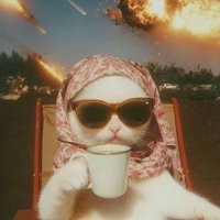 Ane (@_souaneneves) 's Twitter Profile