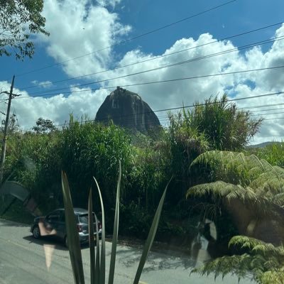 AissaMarti79671's profile picture. 