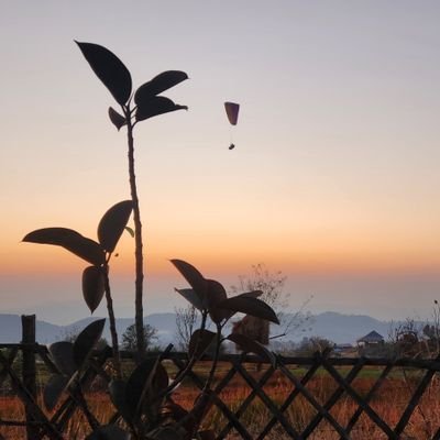 sidhant7's profile picture. Fun lover, risk taker.