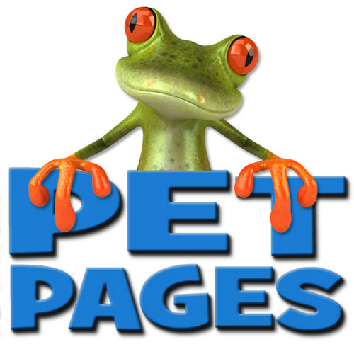 RochPetPages's profile picture. Everything Pets in Rochester, Minnesota