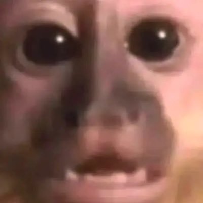 Ann1325488's profile picture. 