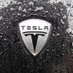 ELONMUSKTESLA 𝕏 (@fanbase1222) Twitter profile photo ELONMUSKTESLA 𝕏 (@fanbase1222) Twitter profile photo