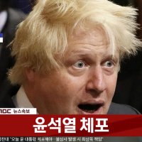 좋아빠르게사형 외치는 보리수존슨 (@goodimpeachfast) 's Twitter Profile Photo 좋아빠르게사형 외치는 보리수존슨 (@goodimpeachfast) 's Twitter Profile Photo