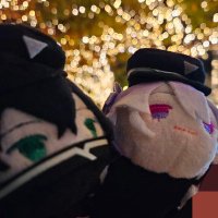 白菊 (@shiragiku_cat) Twitter profile photo