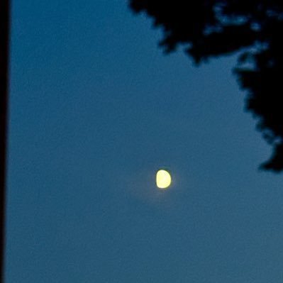 bluerflamingo's profile picture. ig: acalmblue.