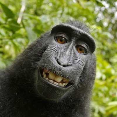 Ramji0000008's profile picture. 