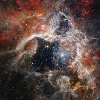 gyng251338's profile picture. 