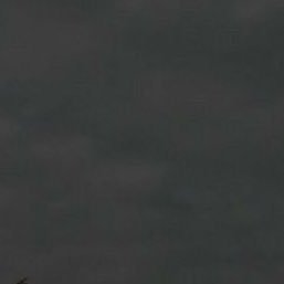 Acme79488378605's profile picture. 