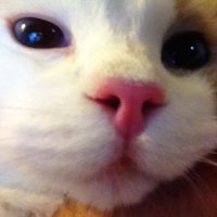 Yu-Nan Huang (@yunanhuang83) 's Twitter Profile