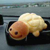 もときしゃん 🐢 (@motoki_shan2219) 's Twitter Profile