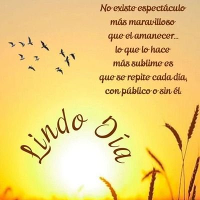 argabis's profile picture. 