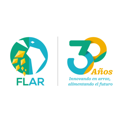 El FLAR genera y difunde conocimientos, tecnologías e innovaciones mediante alianzas que contribuyen a la competitividad y la sostenibilidad del arroz