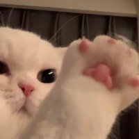 𝑒𝓁𝑒𝓋𝑒𝓃 ʕº̫͡ºʔ꙳☻ (@peeraya1011) 's Twitter Profile Photo 𝑒𝓁𝑒𝓋𝑒𝓃 ʕº̫͡ºʔ꙳☻ (@peeraya1011) 's Twitter Profile Photo