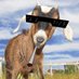 BasedGoat (@justabasedgoat) Twitter profile photo BasedGoat (@justabasedgoat) Twitter profile photo